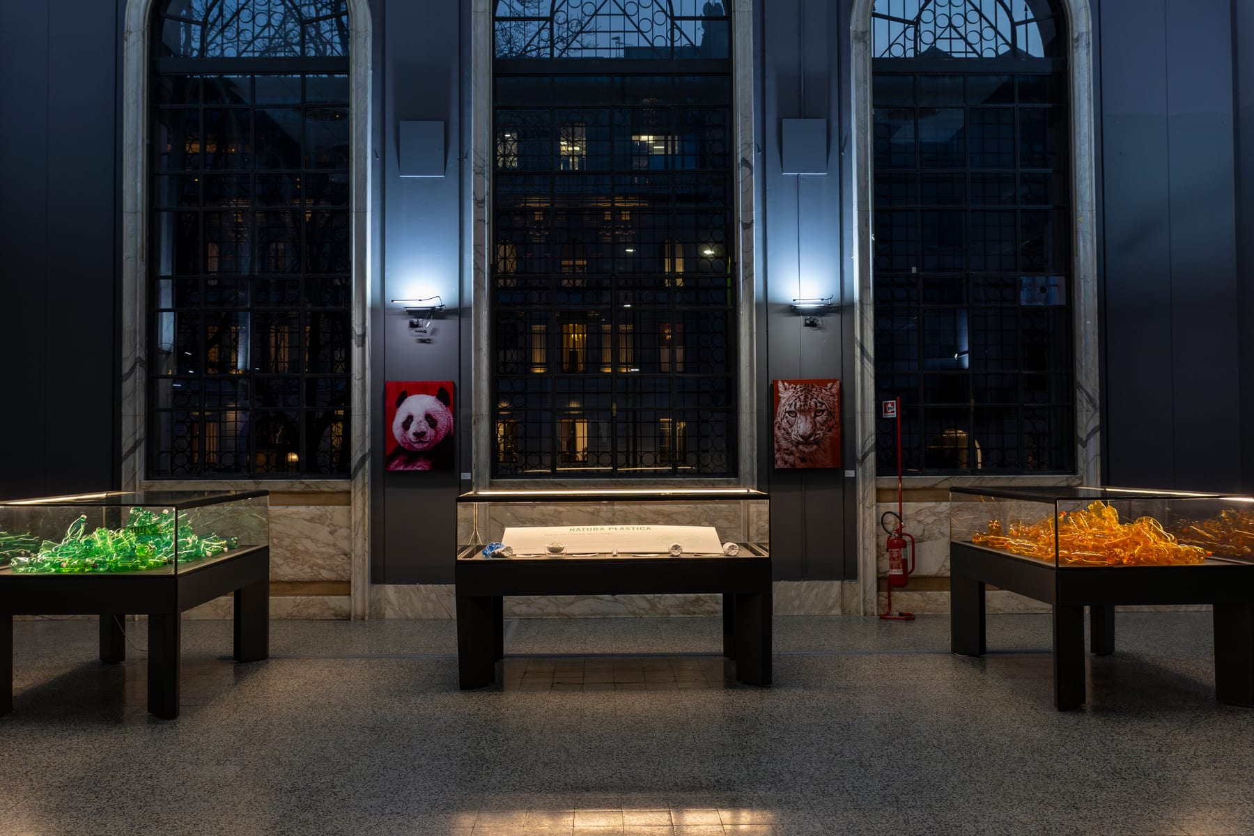 Marco Grasso animal portraits installed at the Natural History Museum of Milan for Mimesis. Ritratti animali, 2024
