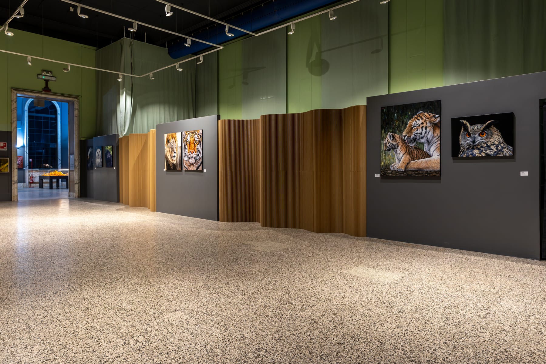Veduta della mostra Mimesis. Ritratti animali di Marco Grasso al Museo di Storia Naturale di Milano, 2024