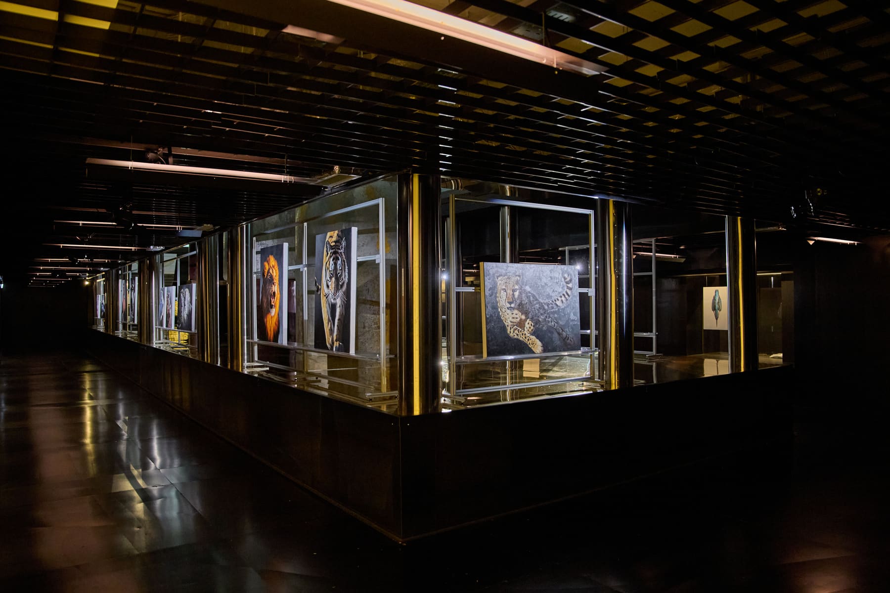 Exhibition view of Marco Grasso’s Wild by Design at ADI Design Museum, Milan, 2026