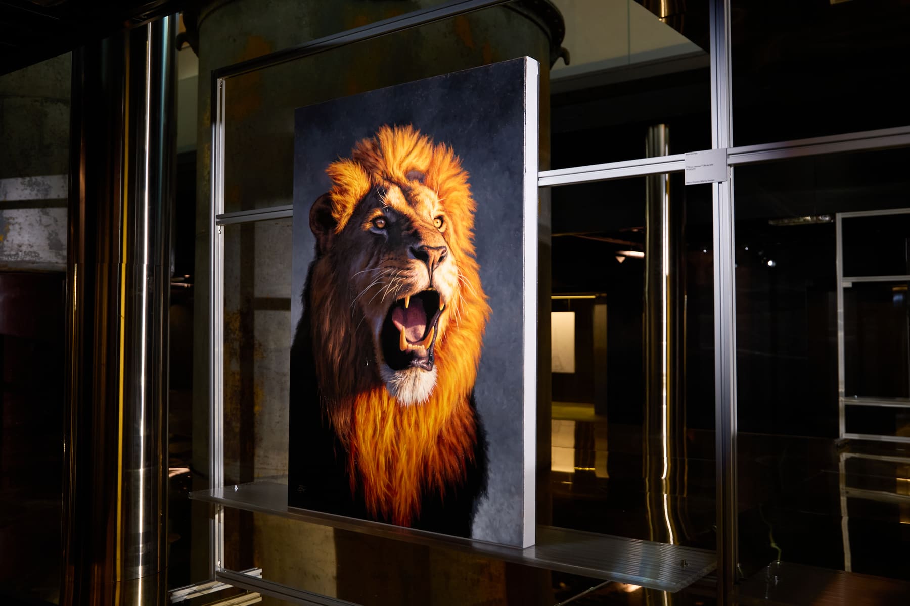 Marco Grasso wildlife paintings installed at ADI Design Museum for Wild by Design, Milan, 2026