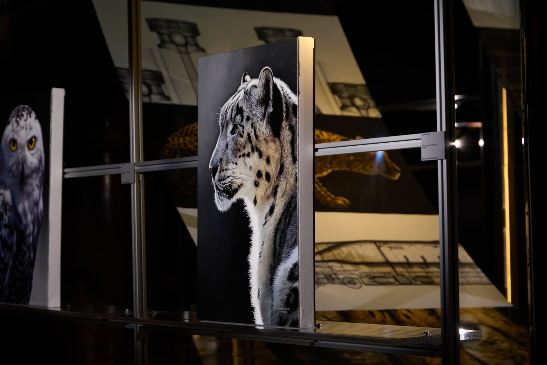 Marco Grasso wildlife paintings installed at ADI Design Museum for Wild by Design, Milan, 2026