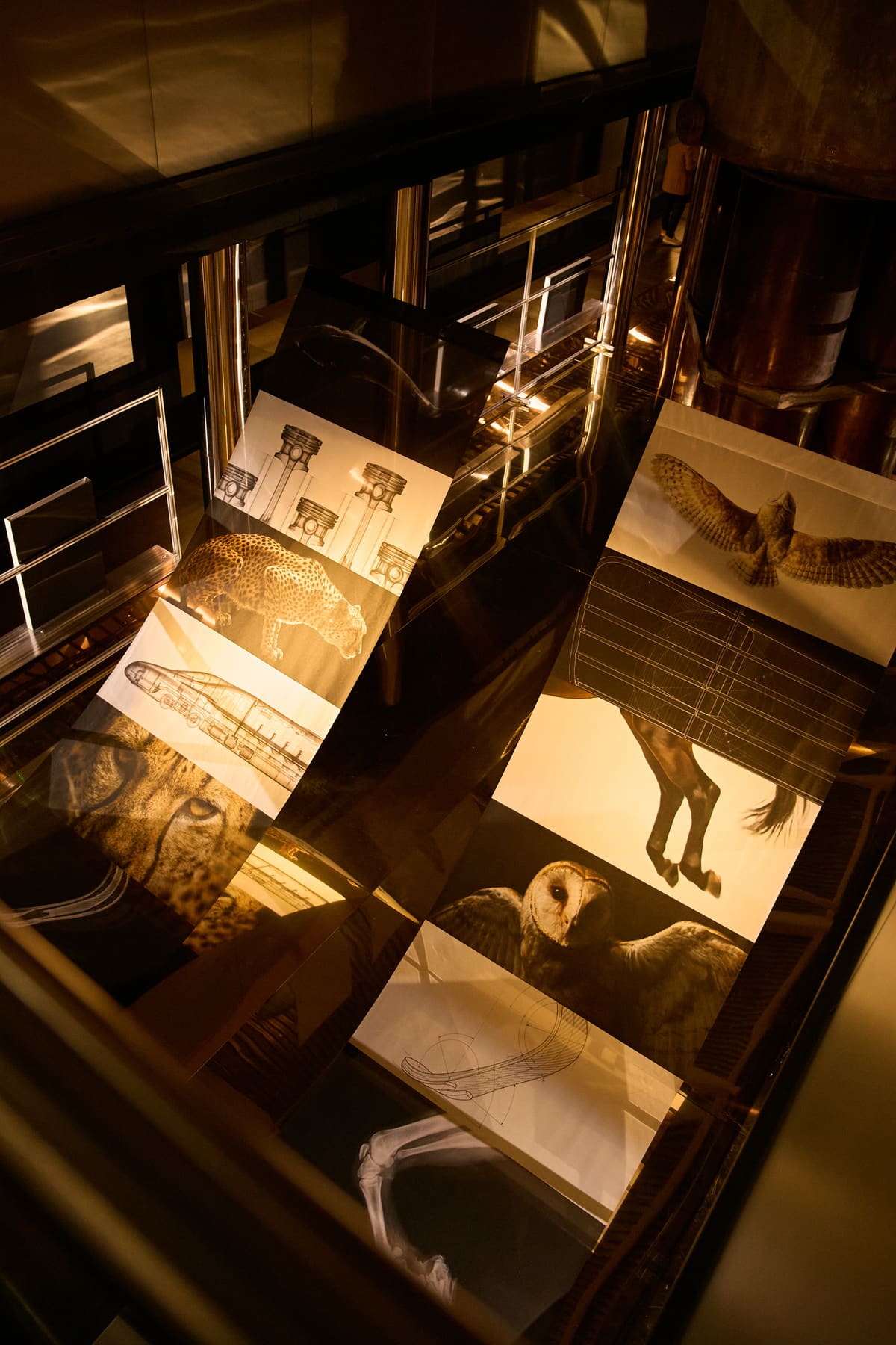 Exhibition view of Marco Grasso’s Wild by Design at ADI Design Museum, Milan, 2026