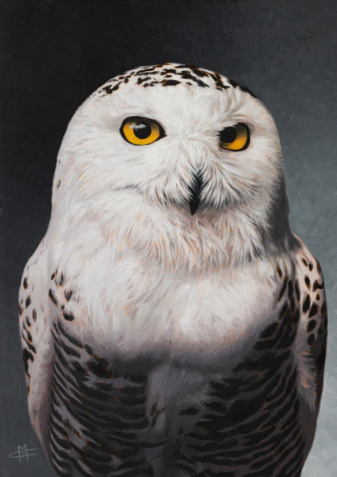 Hedwig, Oil on canvas, artwork by Marco Grasso