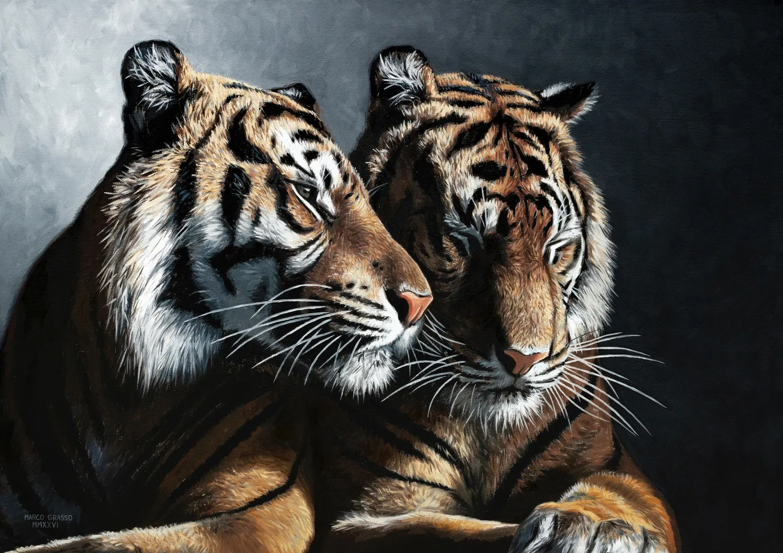 Tiger Couple, Oil on canvas, artwork by Marco Grasso